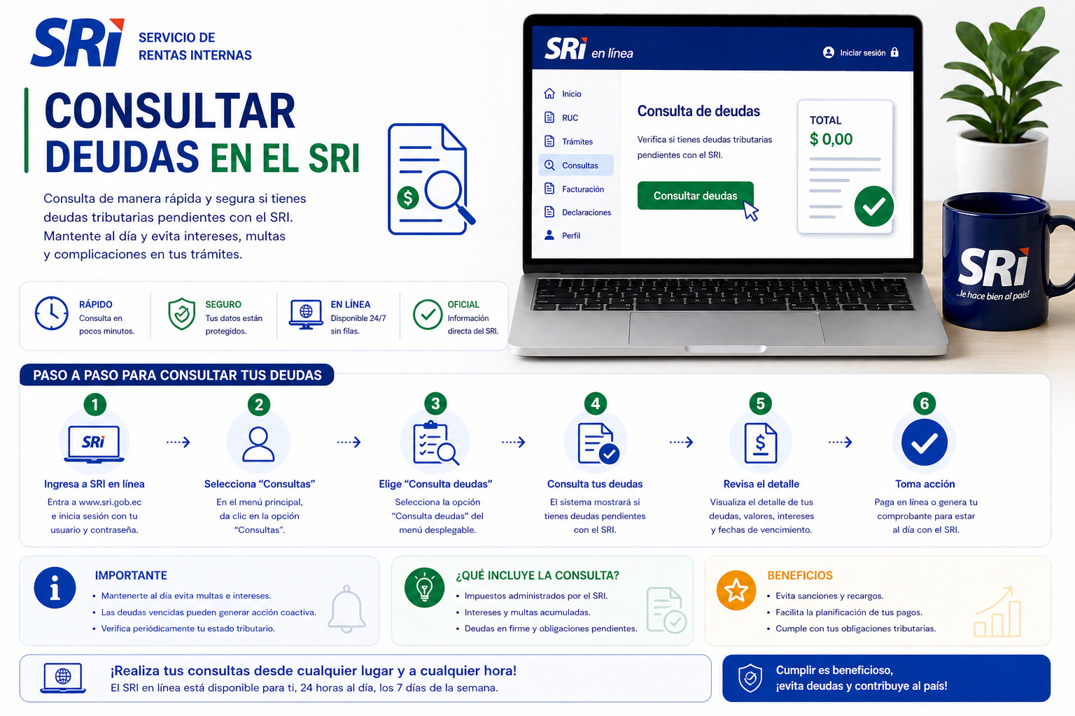 Consultar SRI Ecuador